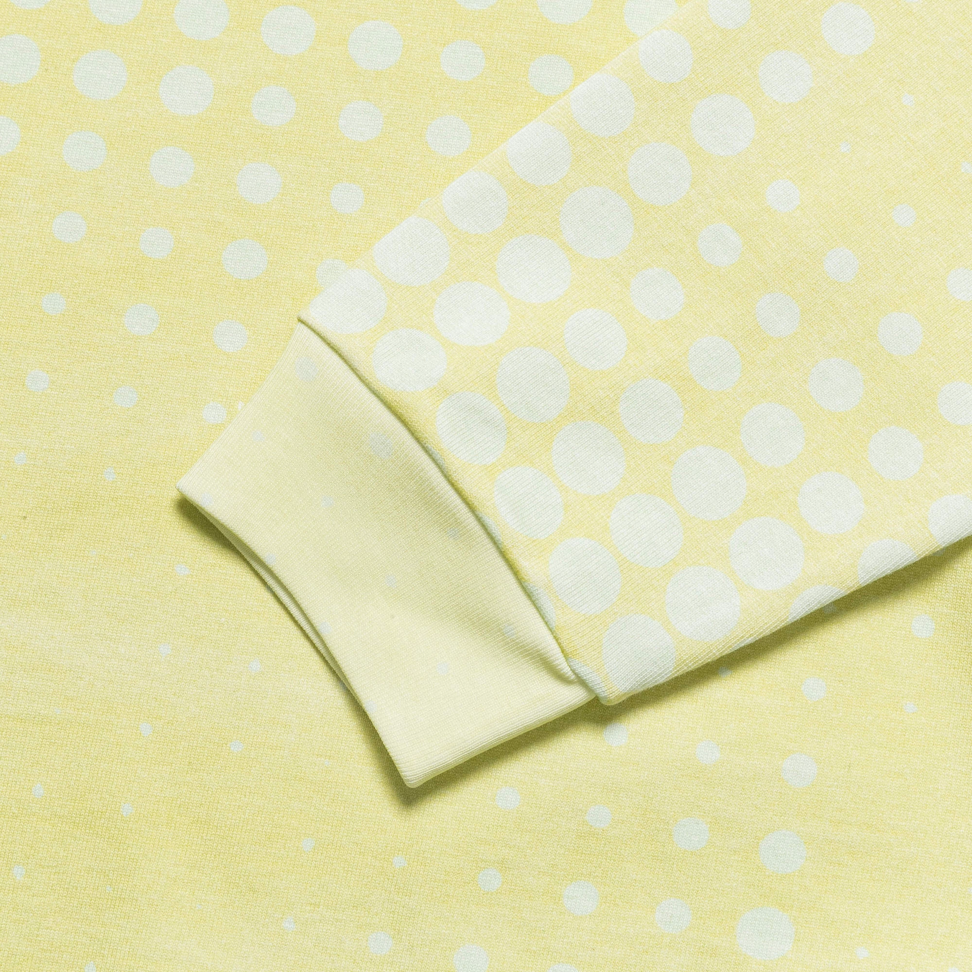 Moto LS Heavyweight T-Shirt - Pistachio